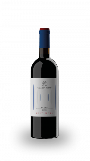 BOLGHERI ROSSO DOC RUIT HORA 2019 - CACCIA AL PIANO