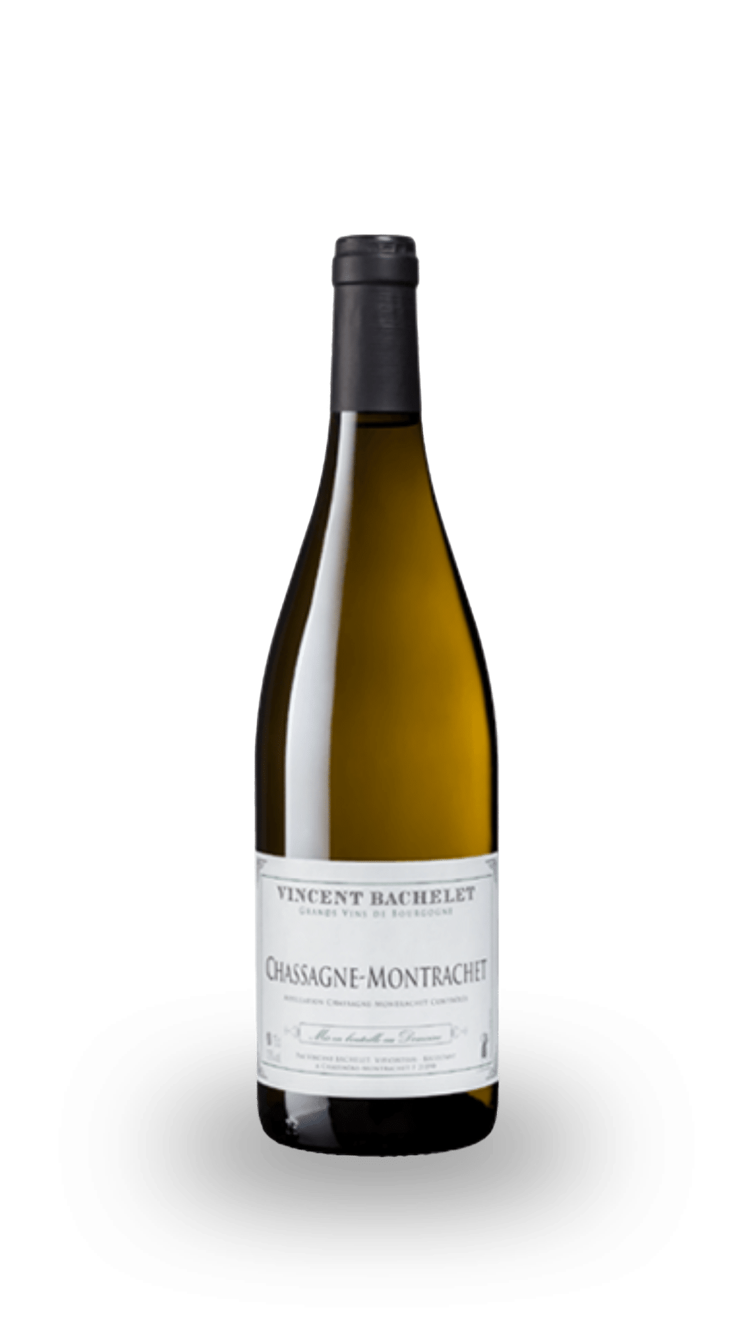 CHASSAGNE MONTRACHET RGE D. VINCENT BACHELET 2019 75 CL