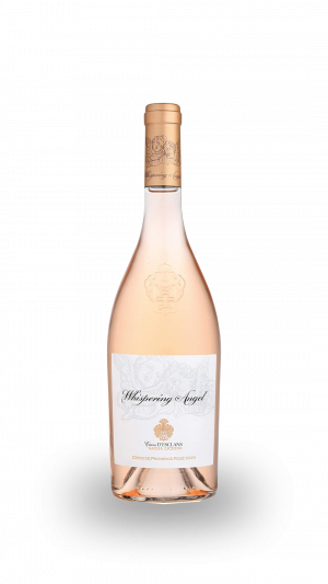 WHISPERING ANGEL ROSE