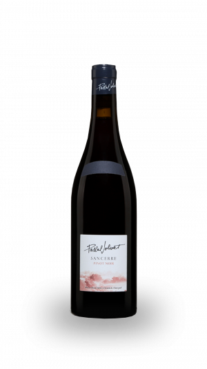 AOC SANCERRE "SIGNATURE" PINOT NOIR 2020 - DOMAINE PASCAL JOLIVET