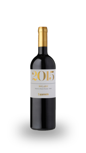 capannelle solare 2015