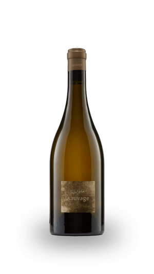 pascal jolivet sauvage