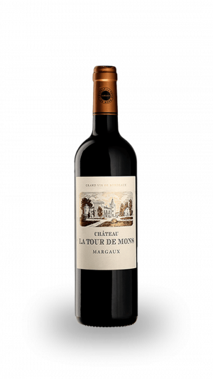 AOC MARGAUX - CHATEAU LA TOUR DE MONS 2015 (CRU BOURGEOIS)