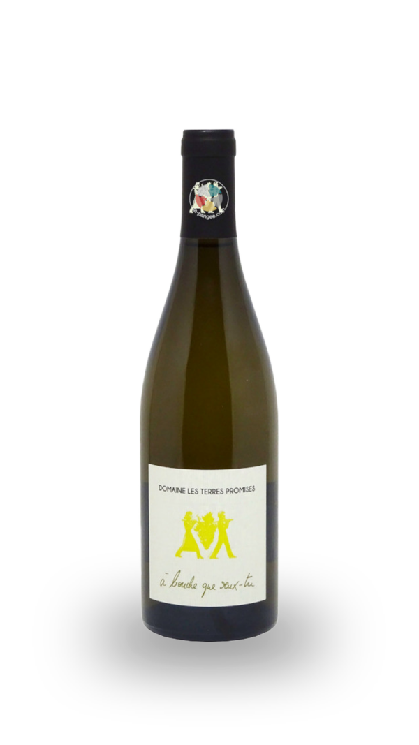 IGP VIN DE PAYS DE LA SAINTE BAUME A BOUCHE QUE VEUX-TU – DOMAINE LES TERRES PROMISES 2021